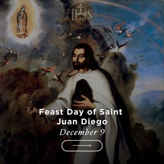 fb-289700111469457_1289399993234436