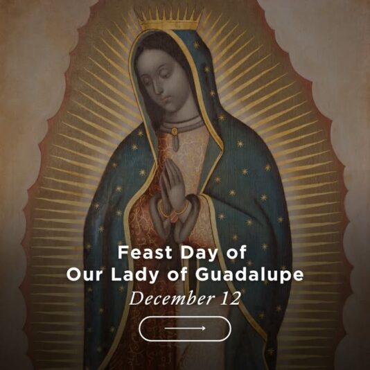 fb-289700111469457_1289399993234436