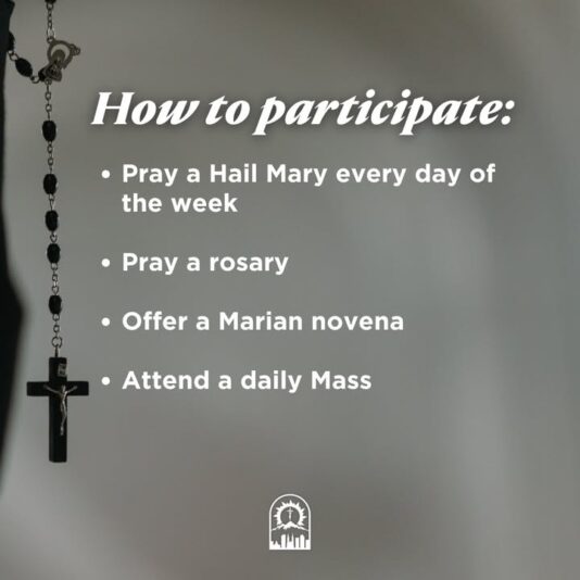 fb-289700111469457_1289399993234436