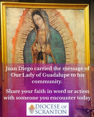 fb-313158165452988_1303434545161828