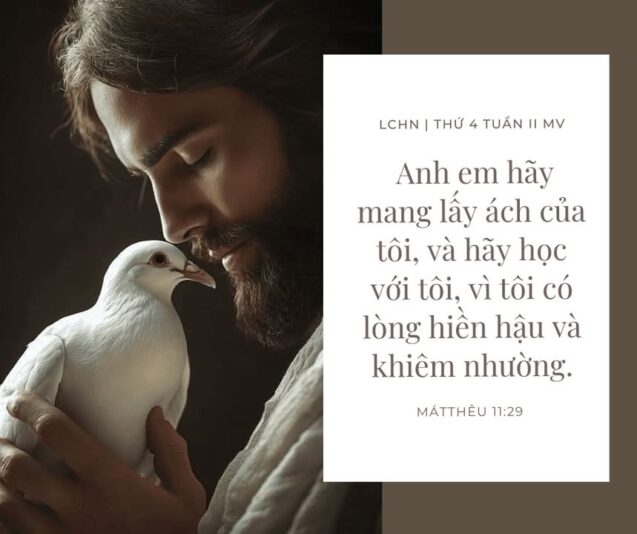 fb-104570015177619_879635631238851