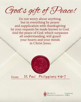 fb-326791086980_1280617360773511