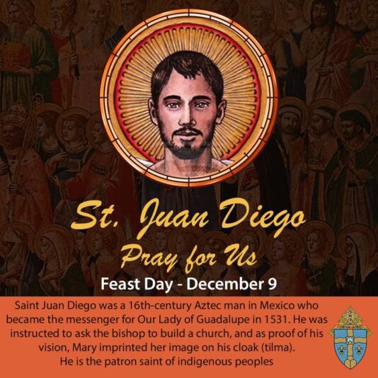 fb-267652796676847_1258058983024135