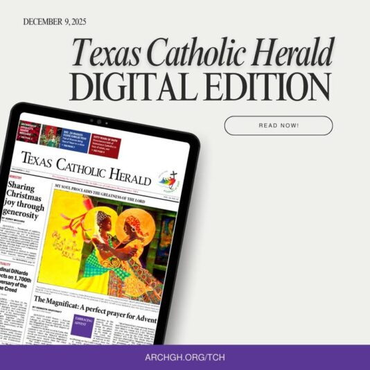 fb-178757502156824_1175565638050005