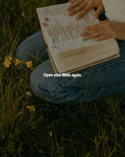 fb-1146610888716848_1310489474453608