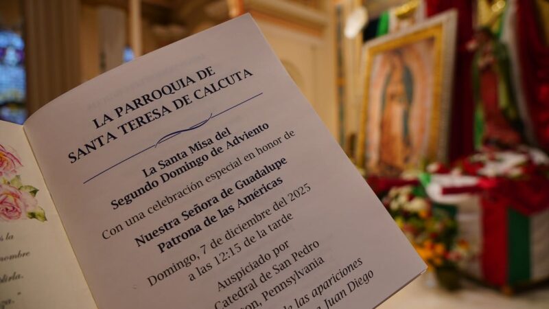 fb-313158165452988_1303544471817502