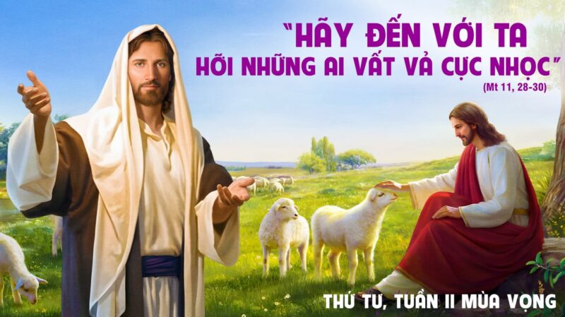 fb-426093730830355_1290824869746512