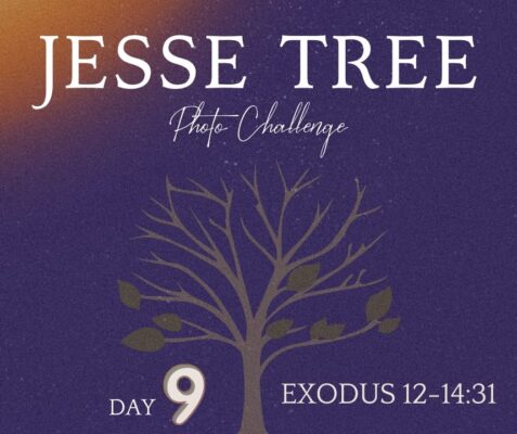 fb-107704176960_1258993362929473