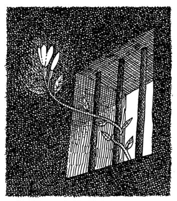 fb-104570015177619_880290097840071