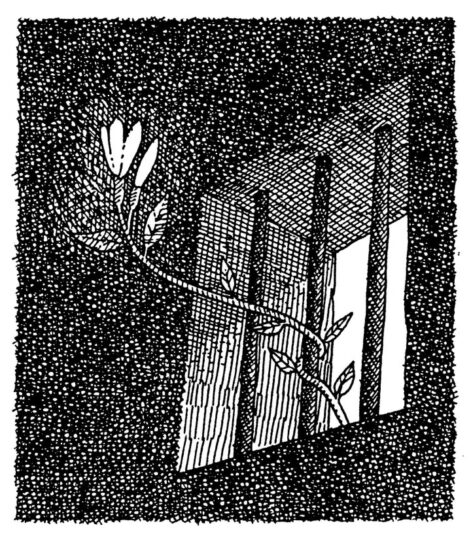 fb-104570015177619_880290097840071