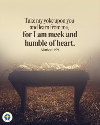 fb-216956945061_1292924629543567