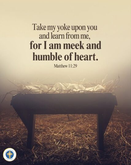 fb-216956945061_1292924629543567