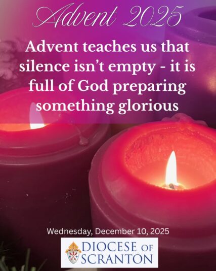 fb-313158165452988_1304192238419392