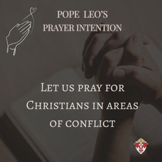 fb-101064066621857_1177120251210566