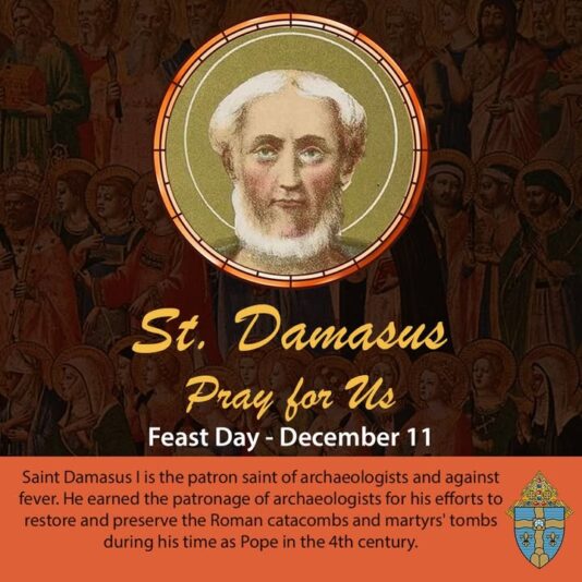 fb-267652796676847_1259511509545549