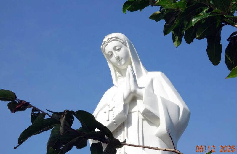 fb-585442494803518_1274076764756870