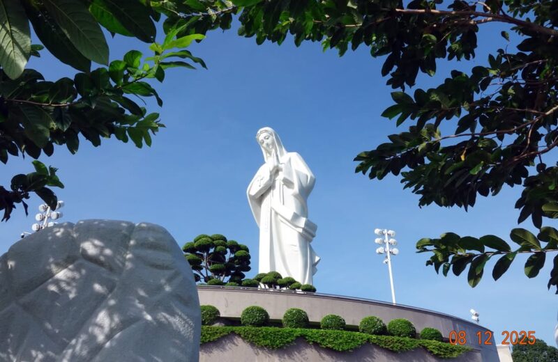 fb-585442494803518_1274076764756870