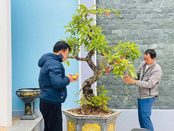 fb-732768673513037_1172560585000824