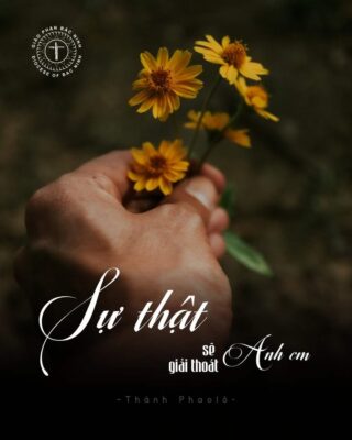 fb-732768673513037_1173085058281710