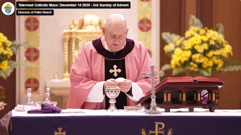 fb-325330457584074_1288313106672850