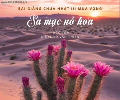 fb-104570015177619_881528834382864