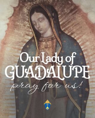 fb-254469157605_1266265708877547