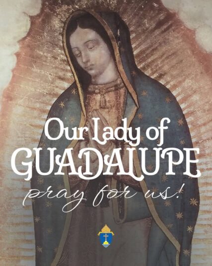 fb-254469157605_1266265708877547