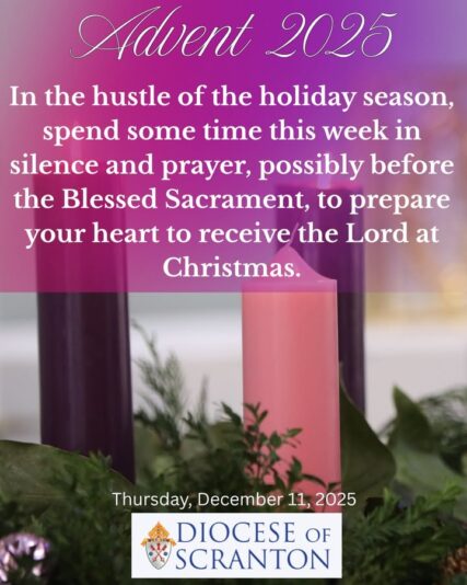 fb-313158165452988_1305066111665338