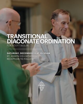 fb-695846880481318_844069794921784