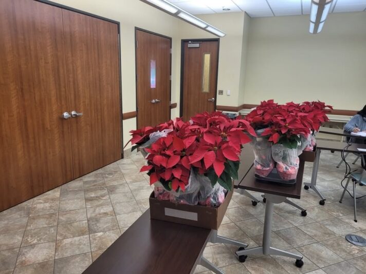 fb-147325878647167_1275049614660972