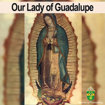 fb-178070992226049_1303050258524924