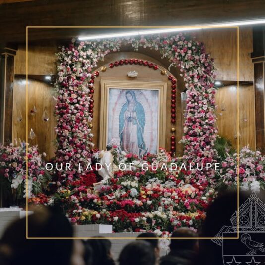 fb-1146610888716848_1312703290898893