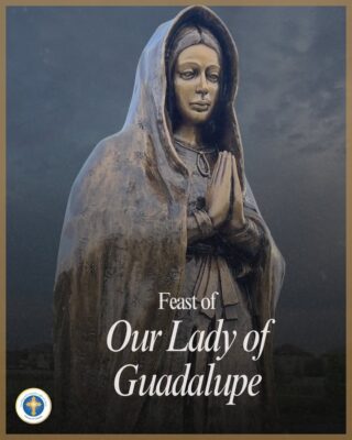 fb-216956945061_1294413052728058