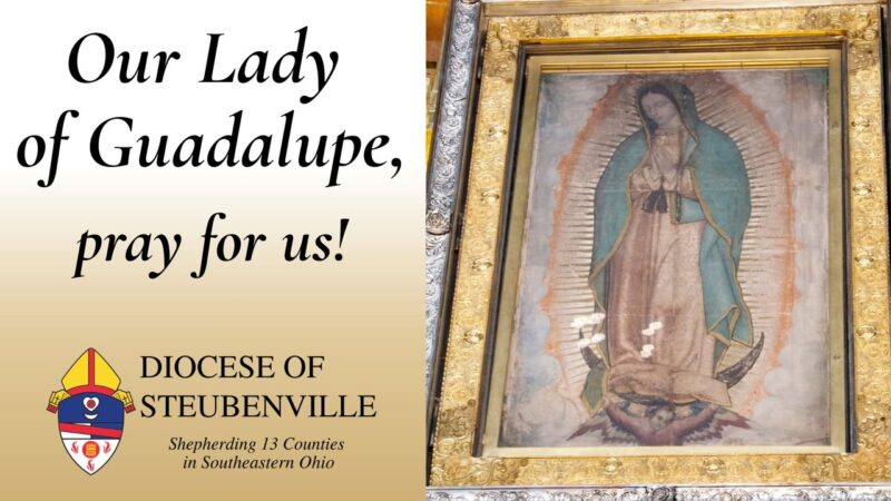 fb-199588210391012_1181910764134748