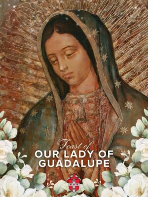 fb-161147313971797_855045823561218