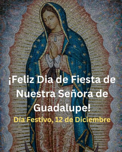 fb-267652796676847_1260043409492359