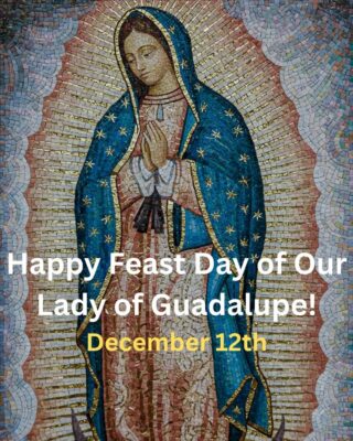 fb-267652796676847_1260243906138976