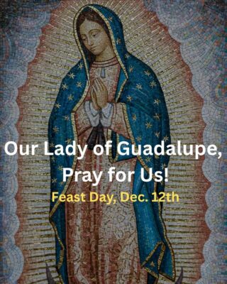 fb-267652796676847_1260042022825831