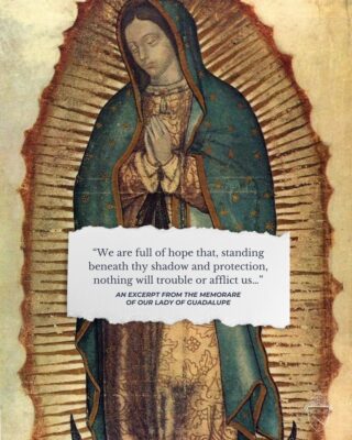 fb-159601077411766_1236611865277159