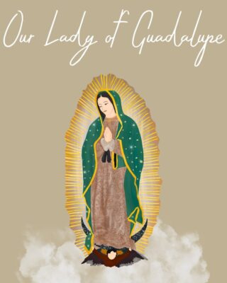 fb-1669188376658004_1498508862275438