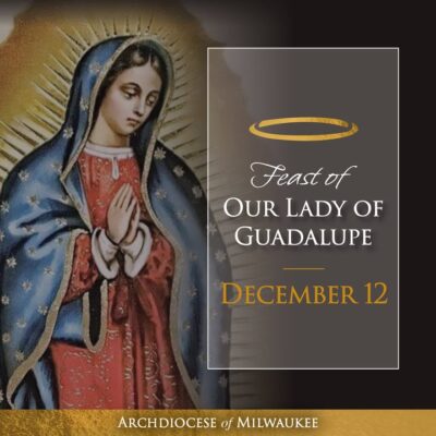 fb-355703527834405_1325197059651096