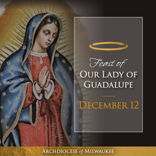 fb-355703527834405_1325197059651096