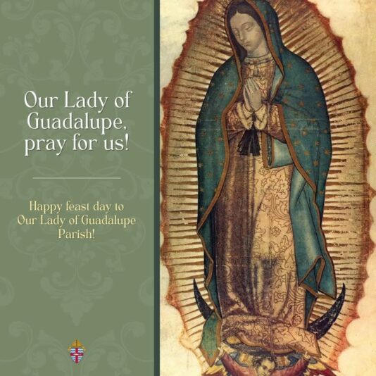 fb-194350237252996_1287742016714881