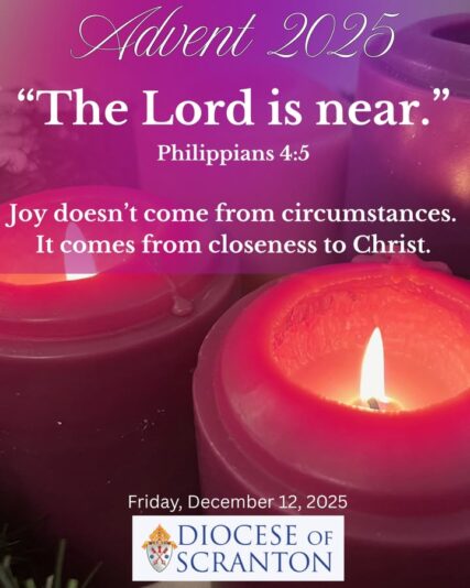 fb-313158165452988_1305878728250743