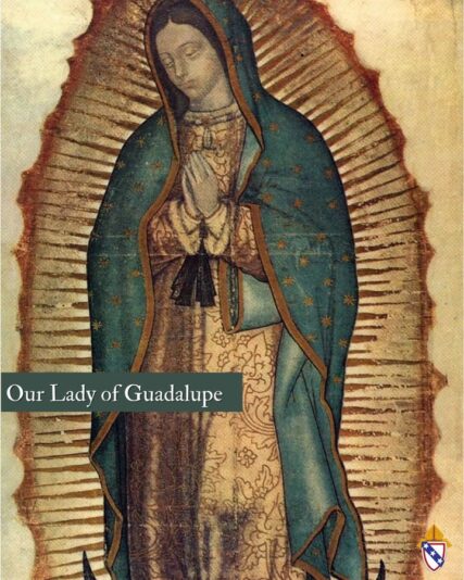 fb-168358359553_1213920760838362