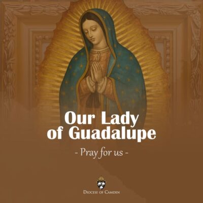 fb-1094082193990443_1316500147186452