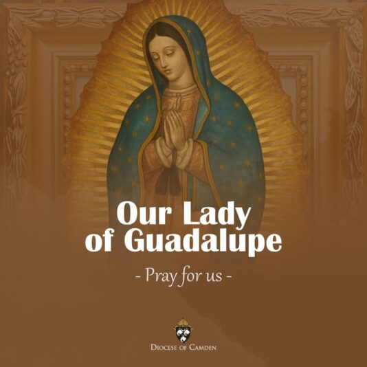 fb-1094082193990443_1316500147186452