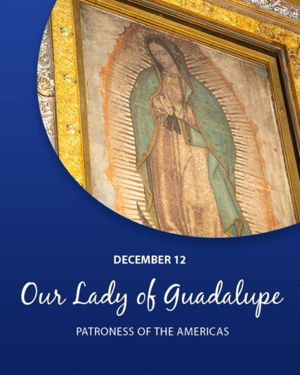 fb-198802963478511_1272608388229239