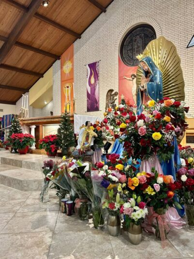 fb-147325878647167_1275570157942251