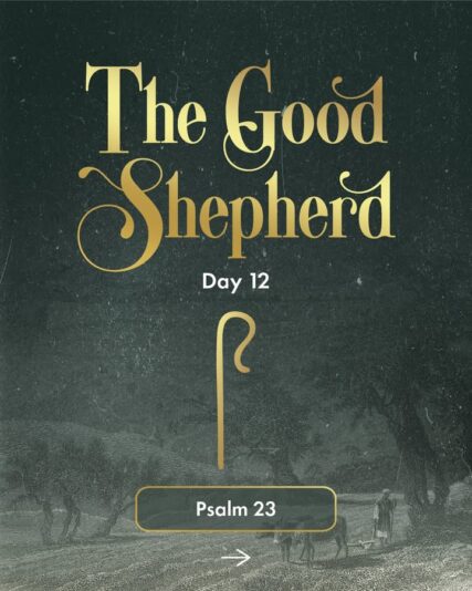 fb-124319130912226_1299110358928056